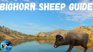 Rancho Del Arroyo Bighorn Sheep Guide TheHunter Call Of The Wild 2023 [upl. by Zindman]