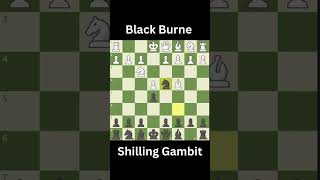 Black Burne Shilling Gambit shorts chess tactics smart funny gambit [upl. by Wystand]