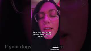 Dog Names  Tik Tok Clip [upl. by Akkimat]