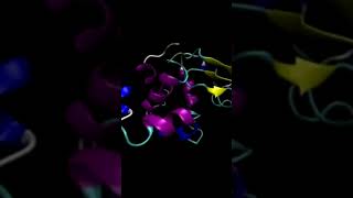 Molecular dynamics simulation of the lysozyme [upl. by Itnuahsa122]