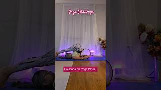 Mastering Halasana on the Yoga Wheel shortsfeed yogapractice yogawheel ytshortsvideo ytshorts [upl. by Aynotahs]