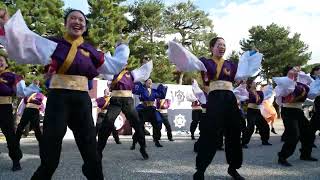 21 佛教大学よさこいサークル紫踊屋 龍馬よさこい2024［４Ｋ］岡崎公園 [upl. by Eiramana]