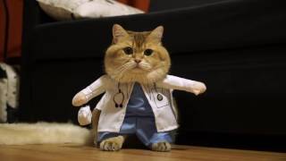 Dr Hosico [upl. by Atwekk]