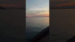 Plong fishingmania vidioshort shortvideo mancing mancingmaniamantap duniamancingmania [upl. by Ermengarde235]