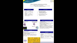 Sintesis de glucosa y degradacion de pirimidinas [upl. by Assyram]