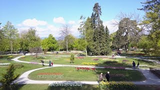 Fête de la Tulipe  Morges [upl. by Tasia]