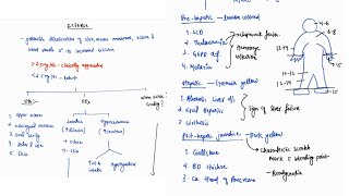 ICTERUS  GENERAL EXAMINATION  MEDICINE PRACTICAL  VIVA  4TH PROFF  MBBS [upl. by Ddart]