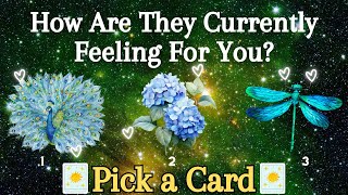 How Are They Currently Feeling About You Their Current Feelings❀Pick a Card❀Tarot Reading [upl. by Theran]