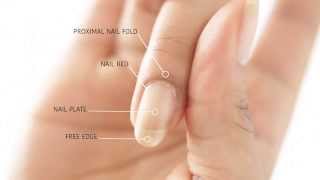 HOW TO REMOVE CUTICLES WITHOUT BLEEDING  abetweene [upl. by Tterrab671]