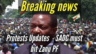 Protests updates  SADC must bit Zanu PF  Chamisa and The Blue Movement 🇿🇼 [upl. by Rahs]