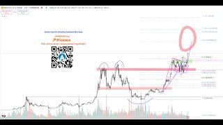 Crypto Market Review  2024 11th November [upl. by Allanson]