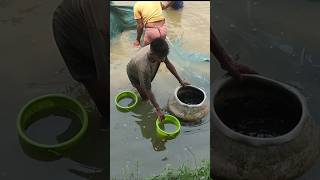 Talab se machhliyon ko kaise nikala jata hai shortsvideo fishing fish [upl. by Einoj620]