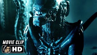 AVP ALIEN VS PREDATOR Clip  quotXenomorph Kills Predatorquot 2004 [upl. by Blancha]