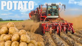 Potato Farming amp Processing  Start to Finish [upl. by Oirevlis]