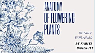 Secondary growth in Monocot stem [upl. by Rimas]