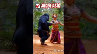 Monyet joget Asik music lucukomedi monyet [upl. by Royal723]