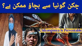 Chikungunya Fever Causes Signs and Symptoms Diagnosis amp Treatment  Dr Muqadus Official [upl. by Wolenik]