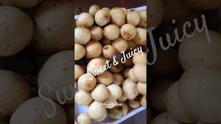 Sweet amp Juicy Lanzones Fruit ripe [upl. by Notlew]