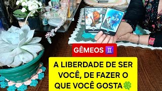 GÊMEOS ♊️ LIBERDADE🙌🏻 fazendo o que quer gostae realizando seu sonho da independência financeira 💰 [upl. by Elvyn]