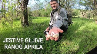 JESTIVE GLJIVE RANOG APRILA [upl. by Creamer]