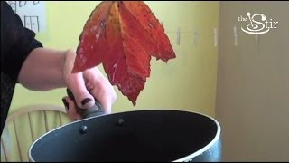 Preserve Autumn Leaves to Decorate YearRound  Crafty Moms Weekly Challenge Episode 21 [upl. by Millan492]