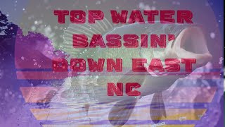 Top Water Bassin Down East NC [upl. by Erot]