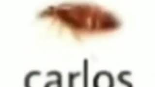 Carlos the roach  meme [upl. by Keeton]