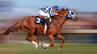 SECRETARIAT  TRIPLE CORONA [upl. by Amiel]