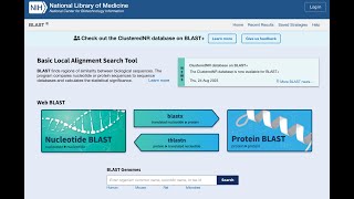 BLAST on NCBI HW1 [upl. by Ileyan]