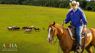 Creek Plantations Big AQHA Victory [upl. by Annelak973]