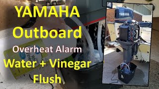 Yamaha Outboard Overheat Alarm Fix  Water and Vinegar Engine Flush [upl. by Sorel20]