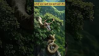 दुनिया का सबसे बड़ा सांप Titanoboa  INDE NewsshortsAMIT FF YT The Monish Vines yashuu word [upl. by Enitnemelc610]