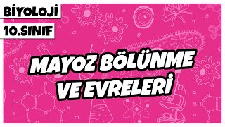 Mitoz Bölünme  39 Günde TYT Biyoloji Kampı30  10 Sınıf Biyoloji Kampı2 2024 [upl. by Padegs]