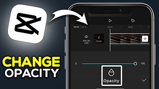 How To Change Opacity On CapCut  Easy Guide [upl. by Esiled]