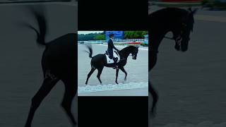 Olympics Paris 2024 dressage equestrian horseriding edit [upl. by Gereron]