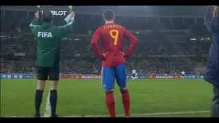 Fernando Torres vs Germany [upl. by Itsud67]