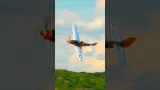 P51 Swamp Fox Roars Over Kentucky shorts warbird [upl. by Dihaz]