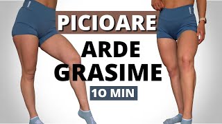 ARDE GRASIME DE PE PICIOARE  10 Minute Antrenament Pentru Picioare Acasa [upl. by Etnohs212]