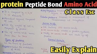 Proteins  Amino Acid Formula  Peptide Bond  Class 11 Biology UrduHindi [upl. by Elleinwad200]