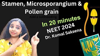 Stamen microsporangium and pollen grains class 12th by Dr Komal Saksena in hindi [upl. by Idnil774]