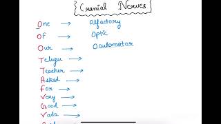 Easy trick to learn cranial nerves 🩺🤍CRANIAL NERVES [upl. by Rhyner]