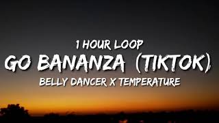 Belly Dancer x Temperature 1 hour loop  TikTok Remix Dont Be Shy Girl Go Bananza [upl. by Uon]