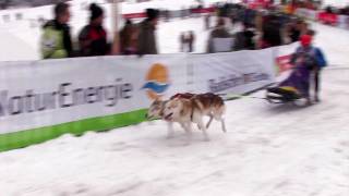 Schlittenhunderennen Todtmoos 2012 Zeitlupenstudien [upl. by Nirtak]