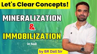 Mineralization and Immobilization  खनिजीकरण और स्थिरीकरण  Concept Clear [upl. by Pentheam]