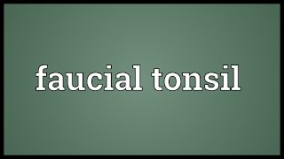 Faucial tonsil Meaning [upl. by Crin365]