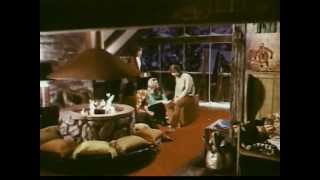 1970s commercial for Harveys Bristol Cream Sherry [upl. by Sucramad]