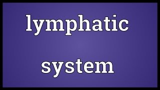 Lymphatic system Meaning [upl. by Otes971]