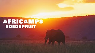 Africamps Hoedspruit Cinematic vlog with Sony 70200 f28 GM [upl. by Doralynne]