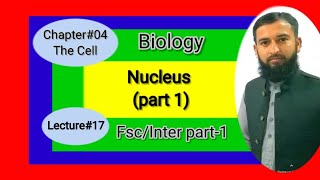 Nucleus  Nucleolus  Nuclear membrane  1st year Fscinter biology ch4 lecture in urduhindi [upl. by Fawne]