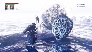 Bloodborne  Rom The Vacuous Spider  PS5 Gameplay Walkthrough Playthrough [upl. by Cullin614]